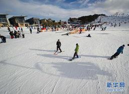 澳洲滑雪圈吃瓜视频,吃瓜视频揭秘幕后真相