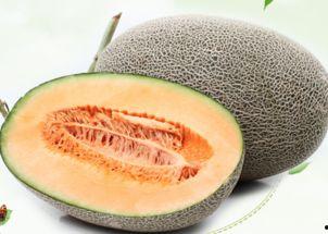 假吃哈密瓜视频大全,假吃哈密瓜视频大全趣味盘点