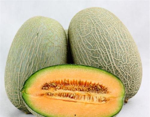 老头吃哈密瓜直播视频,老者品尝哈密瓜，甜蜜瞬间引网友热议