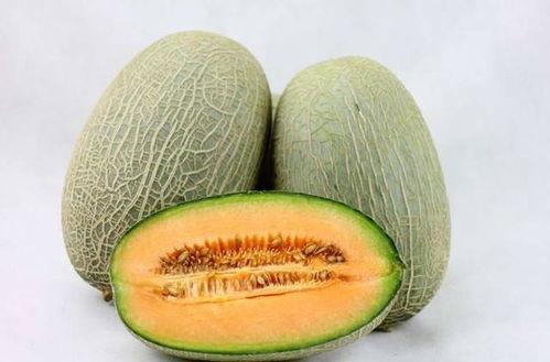 喂小猪吃哈密瓜可以吗视频,小猪们的美味探索之旅