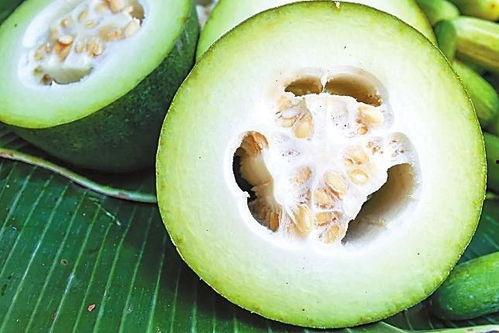 古代美食吃瓜视频,穿越时空的吃瓜之旅