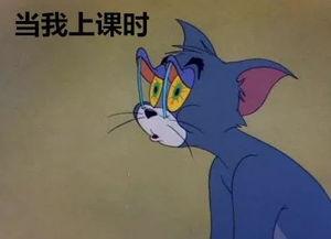 吃瓜课视频,带你领略美食世界的趣味与智慧