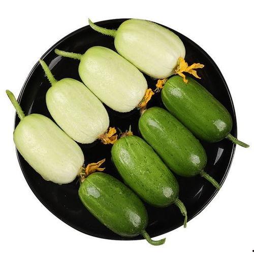 棱角瓜怎么吃最好吃视频,视频教你轻松解锁最佳口感