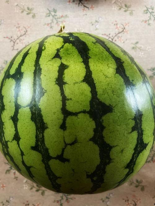 吃瓜视频特技表演,视觉盛宴一触即发