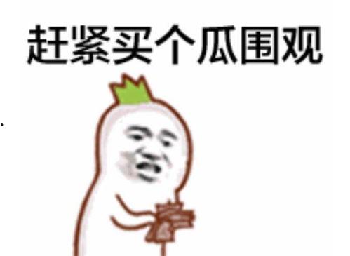 吃瓜群众蒙了完整视频,吃瓜群众蒙了！完整视频揭秘惊人真相