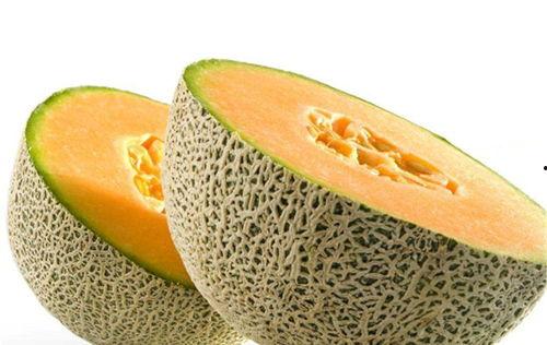 吃哈密瓜钓鱼视频大全,趣味视频大全来袭