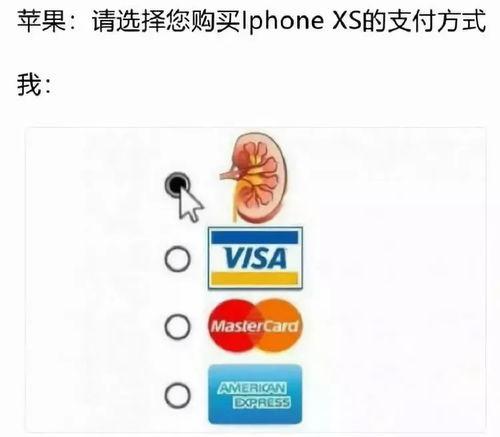 吃货吃瓜视频下载安装苹果,苹果设备轻松下载安装吃货吃瓜视频教程