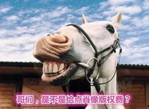 马吃瓜搞笑视频下载安装,轻松获取欢乐源泉