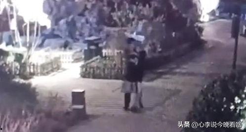 株洲吃瓜事件视频曝光,一场引发热议的网络风波